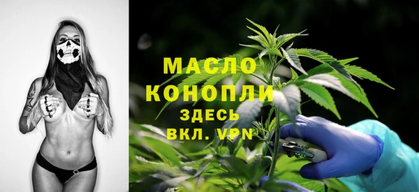 молекула духа Зеленодольск