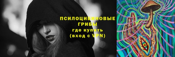 сатива Зерноград