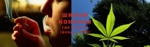 сатива Зерноград