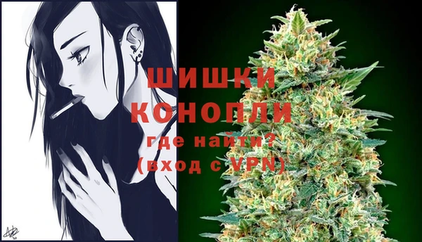 сатива Зерноград