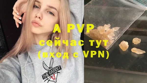 стафф Зеленокумск