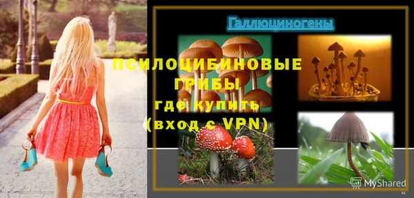 сатива Зерноград