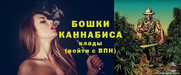 молекула духа Зеленодольск
