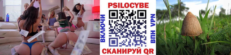 Купить закладки  Вязьма  Галлюциногенные грибы ЛСД 